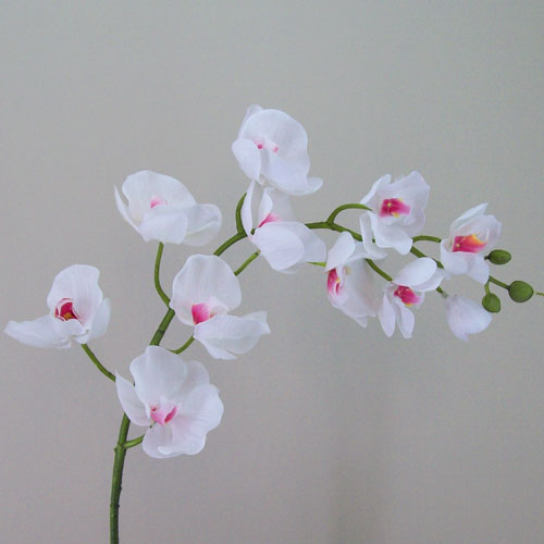 Where to sale buy artificial orchids